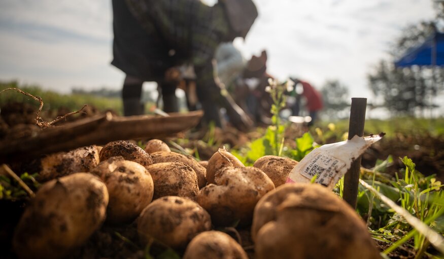 World Potato Congress