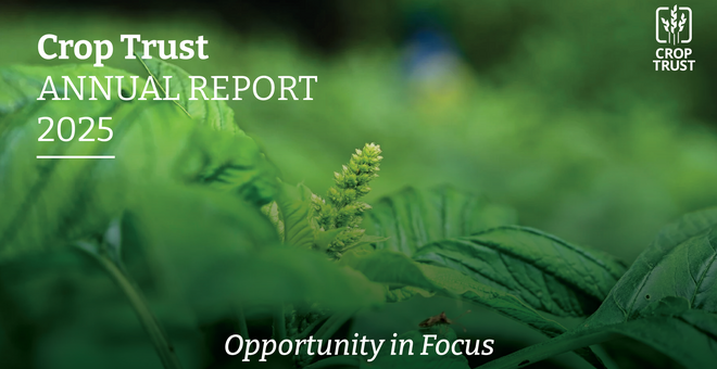 Five Ways Crop Diversity Delivered in 2025