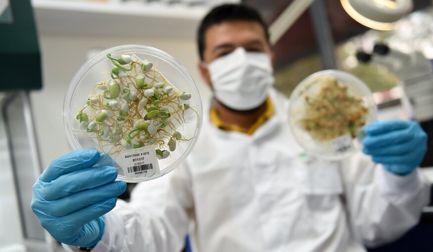 Looking at Genebanks Through a Breakthrough Lens