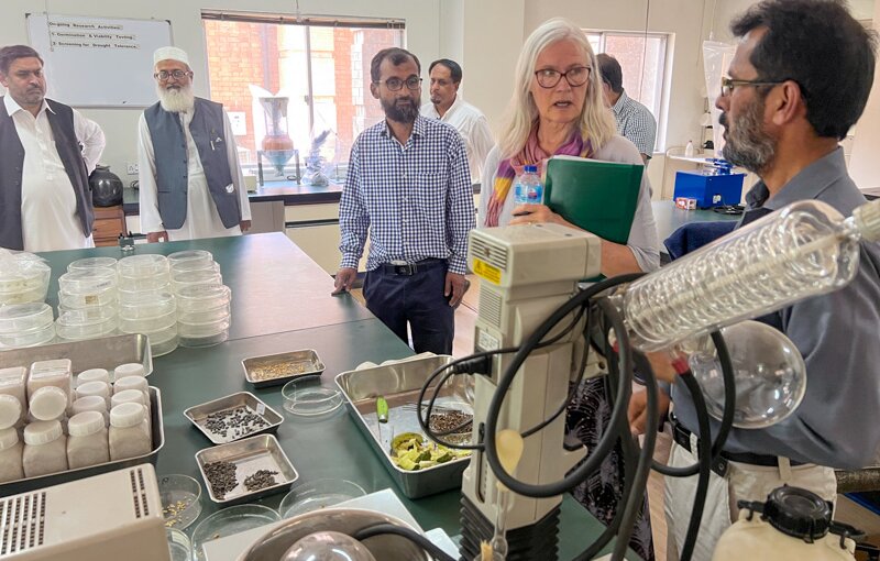 A Treasure Trove of Crop Diversity, for Pakistan and the World