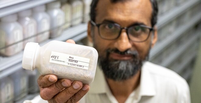 From Genebank Shelves To Farmers’ Fields In Pakistan