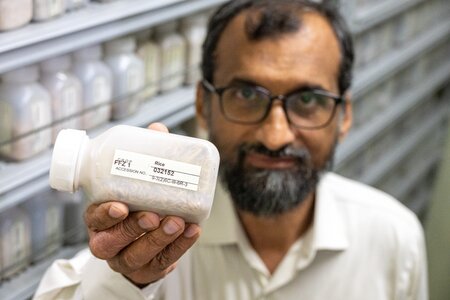 From Genebank Shelves To Farmers’ Fields In Pakistan