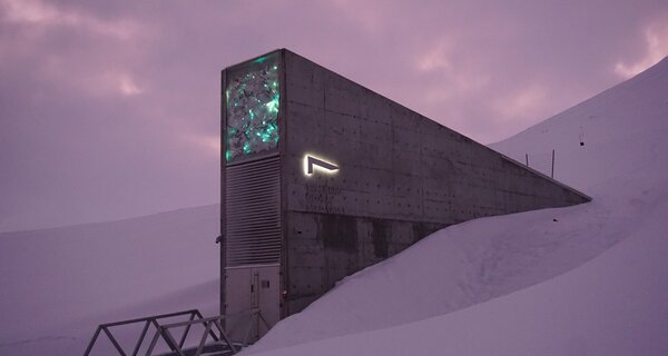 Image of Svalbard Seed Vault