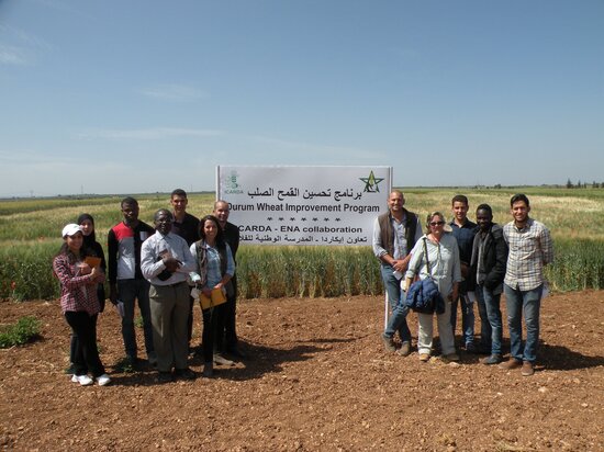 Breeding team at ENA Meknes. Photo credit: Filippo M Bassi