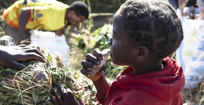 Small scale farms and community groups line the road from Samfya to Mansa and focus on Cassava production for local consumption and to a lesser extent starch export.