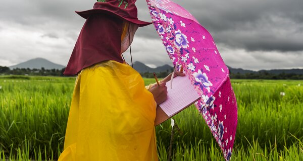 IRRI, LOS BANOS, PHILIPPINES, 9 AUGUST 2016: Workers conduct drought resistance rice sampling at the International Rice Research Institute. IRRI is the world’s premier research organization dedicated to reducing poverty and hunger through rice science; improving the health and welfare of rice farmers and consumers; and protecting the rice-growingenvironment for future generations. IRRI is an independent, nonprofit research andeducational institute founded in 1960 by the Ford and Rockefeller foundations, withsupport from the Philippine government. The institute, headquartered in LosBaños,Philippines, has offices in 17 rice-growing countries in Asia and Africa, and About 1,000 staff members. Working with in-country partners, IRRI develops advanced rice varieties that yield more grain and better withstand pests and disease as well as flooding, drought, and other destructive effects of climate change. More than half of the rice area in Asia is planted to IRRI-bred varieties or their progenies. The institute develops new and improved methods and technologies that enable farmers to manage their farms profitably and sustainably, and recommends rice varieties and agricultural practices suitable to particular farm conditions as well as consumer preferences. IRRI assists national agricultural research and extension systems in formulating and implementing country rice sector strategies. (Photo by Brent Stirton/Reportage by Getty Images for Crop Trust.)