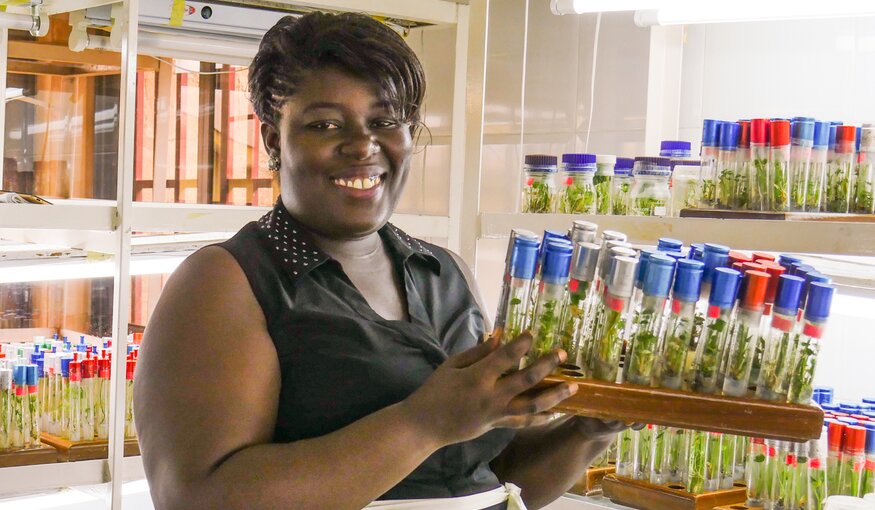 The Ghana National Genebank is one of the five genebanks in Africa taking part in the Seeds4Resilience Project. Photo: Nora Castaneda-Alvarez/Crop Trust