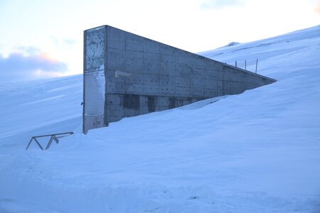 Svalbard Seed Vault Welcomes Baobab, Hairy Eggplant and African Rice
