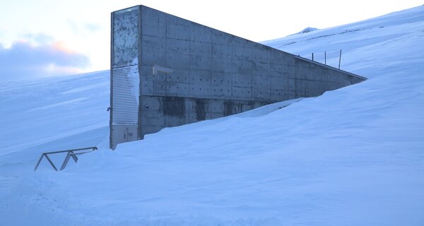 Svalbard Seed Vault Welcomes Baobab, Hairy Eggplant and African Rice