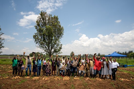 Local farmers from Njoro, Kenya, join in CIP’s breeding trials to ensure new potato varieties reflect their preferred traits and growing conditions. Photo: Stefan Mohl/Crop Trust