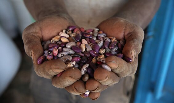 Seeds for Resilience