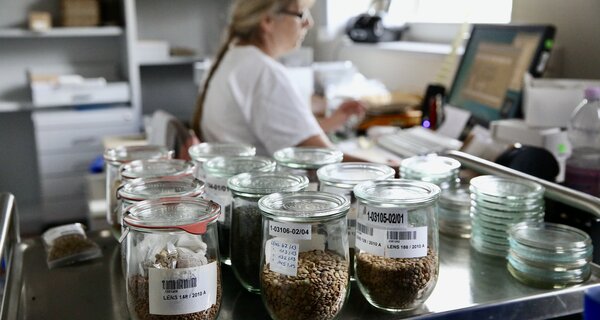 What is a Genebank?