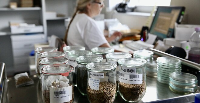 What is a Genebank?