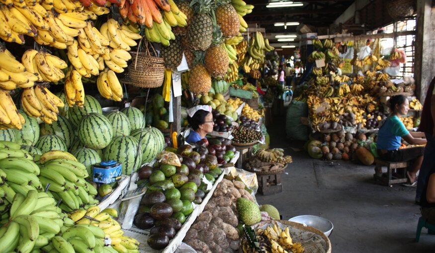 A Helping Hand to Reboot Seed Conservation in the Philippines