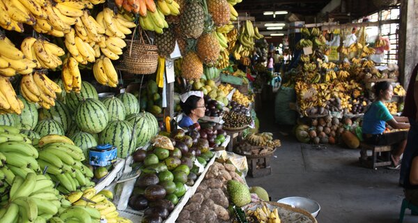 A Helping Hand to Reboot Seed Conservation in the Philippines