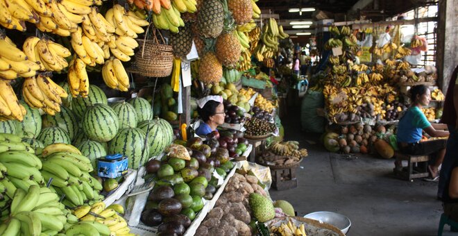 A Helping Hand to Reboot Seed Conservation in the Philippines