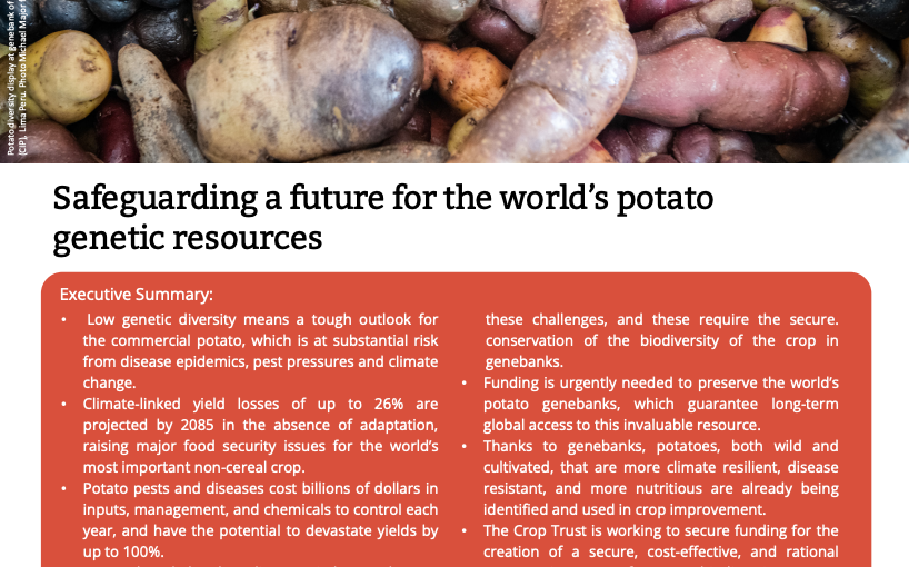 Safeguarding a Future for the World’s Potato Genetic Resources