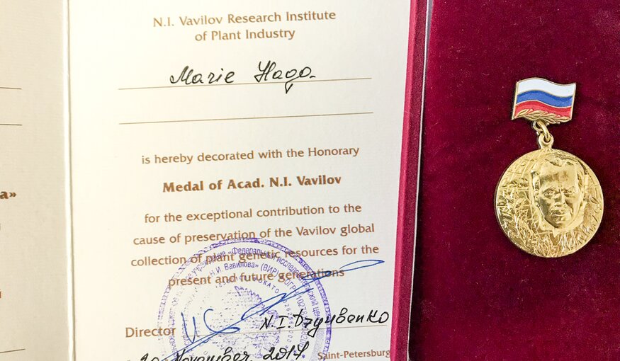 The Vavilov Institute recognized the Crop Trust’s contribution to its work last November when it presented Marie Haga with its N.I. Vavilov Medal. The medal was awarded for “exceptional contribution to the cause of preservation of the Vavilov global collection of plant genetic resources for the present and future generations.”