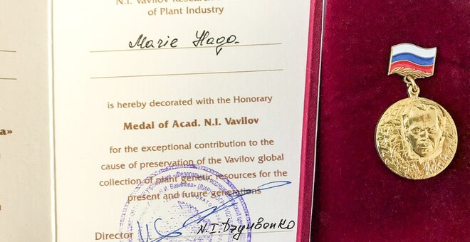 The Vavilov Institute recognized the Crop Trust’s contribution to its work last November when it presented Marie Haga with its N.I. Vavilov Medal. The medal was awarded for “exceptional contribution to the cause of preservation of the Vavilov global collection of plant genetic resources for the present and future generations.”