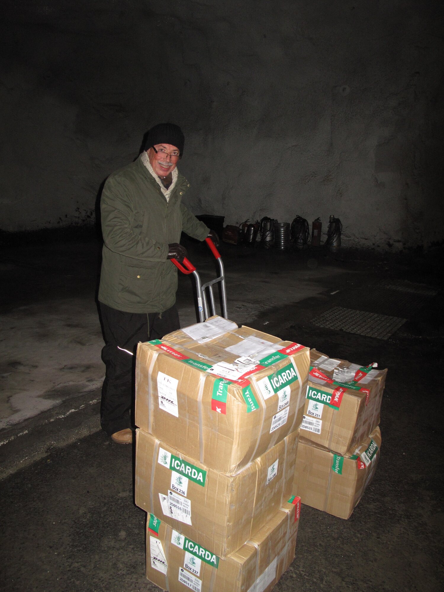 Dr. Ali Shehaded, Rangeland and Pasture germplasm Curator at ICARDA, takes in seeds which were shipped from Lebanon and Morocco for safekeeping inside the Svalbard Global Seed Vault. Photo credit: NordGen. 