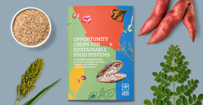 Fifteen Crops That Could Help Build More Resilient Food Systems