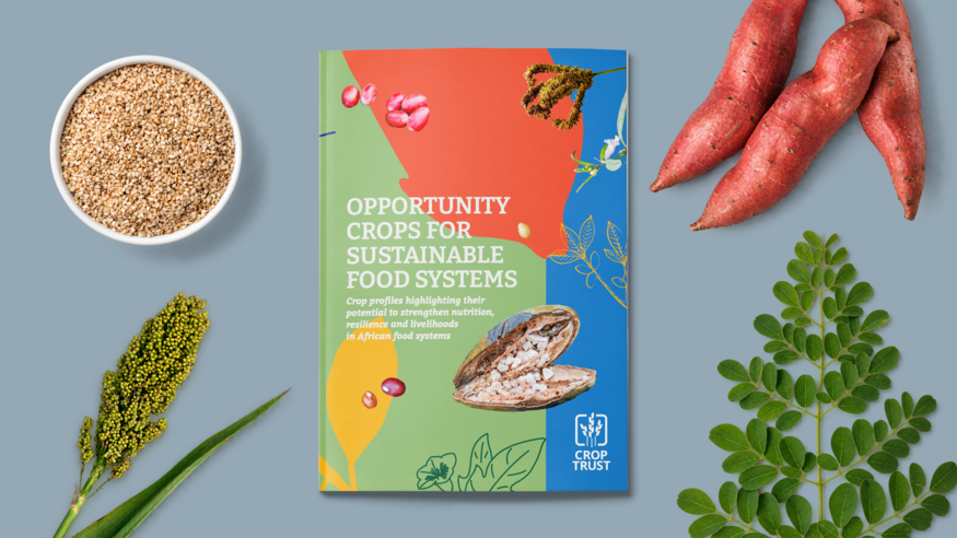 Fifteen Crops That Could Help Build More Resilient Food Systems