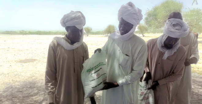 ICRISAT Boosts Food Security in Niger and Chad During Ukraine-Russian Conflict