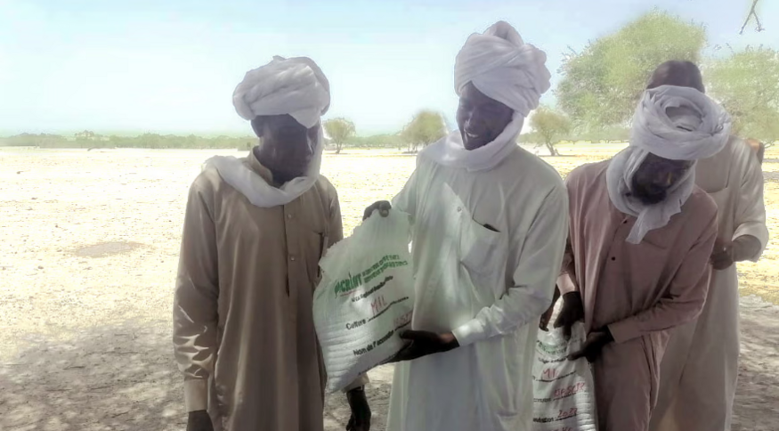 ICRISAT Boosts Food Security in Niger and Chad During Ukraine-Russian Conflict