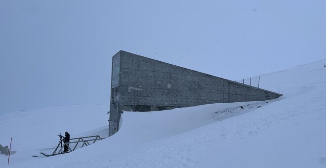 Reuters: Svalbard’s doomsday vault gets record batch of global crop seeds