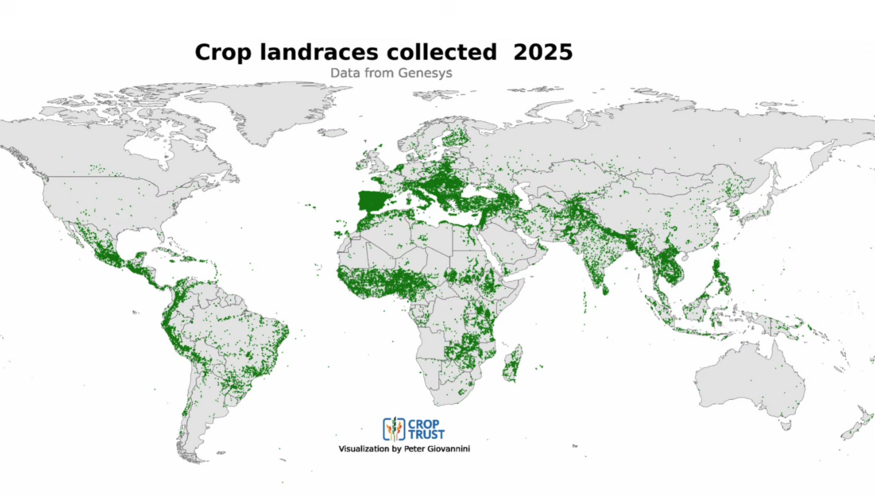 Insights from Genesys: Over 120 Years of Crop Collecting in Under 40 Seconds