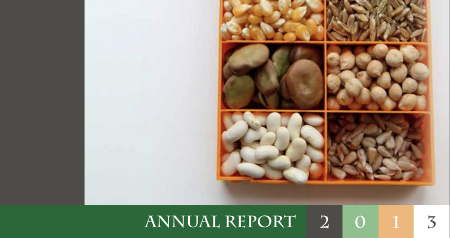 2013 annual report cover