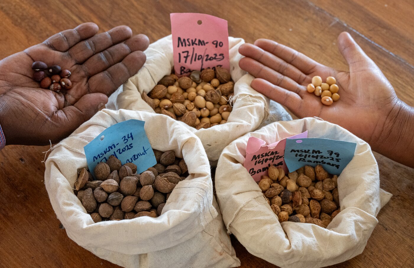 National Plant Genetic Resources Centre