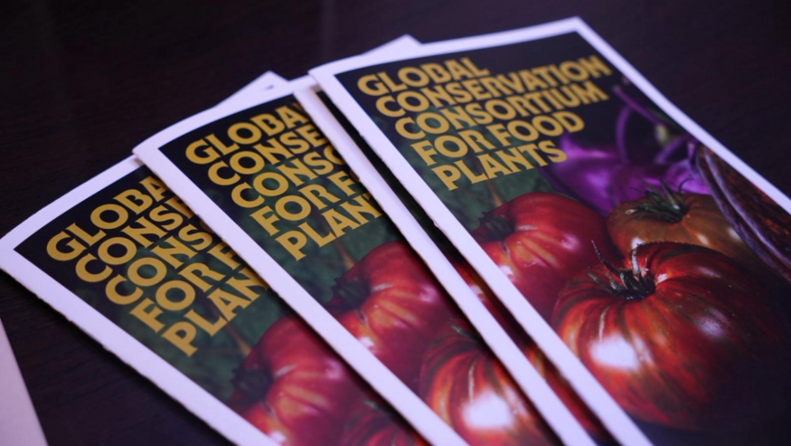 ©FAO / Alessia Rosu