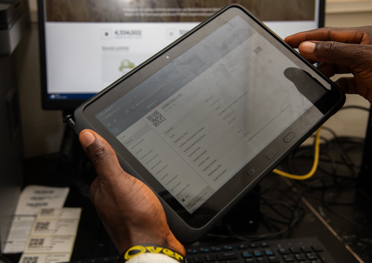 A genebank staff member displays seed information in an ipad using a data management software