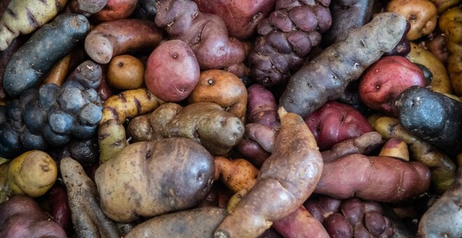 Potato Diversity.