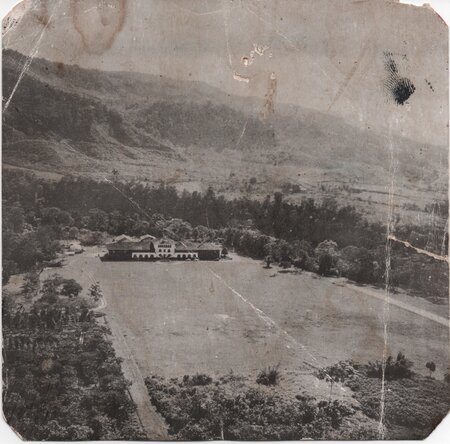 Seventy Years On, a Global Garden Keeps the Coffee Hot