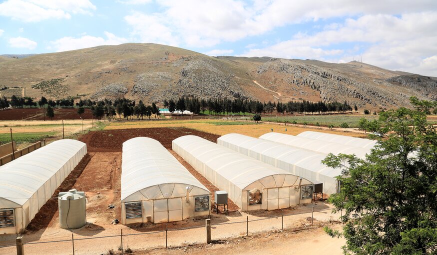 Expanded Crop Genebank Opens in Lebanon