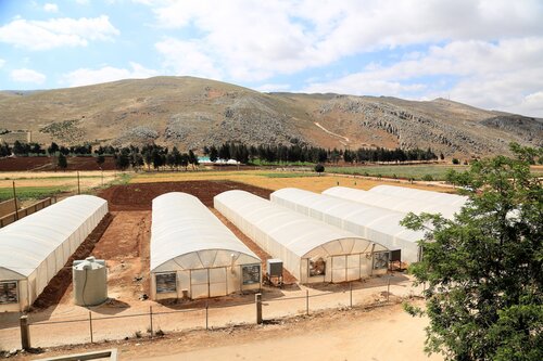 Expanded Crop Genebank Opens in Lebanon