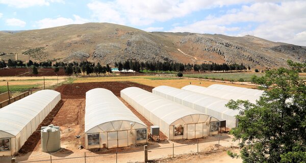 Expanded Crop Genebank Opens in Lebanon