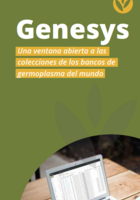 Genesys Brochure Spanish