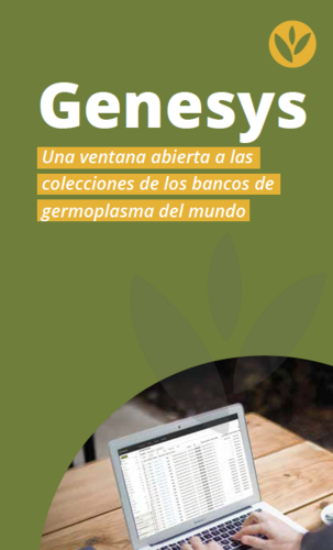 Genesys Brochure Spanish