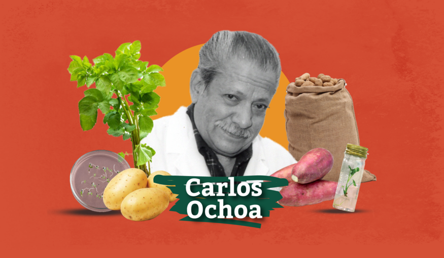 Carlos Ochoa: The Indiana Jones of the Potato World