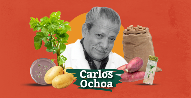 Carlos Ochoa: The Indiana Jones of the Potato World