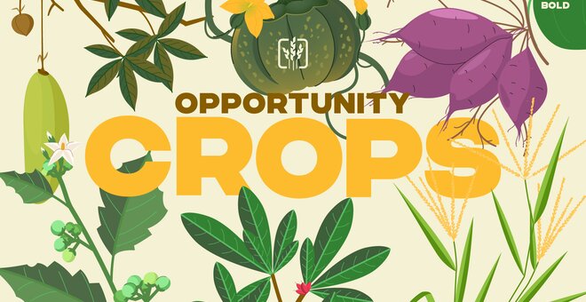 Opportunity Crops: A BOLDER Approach to Food Security