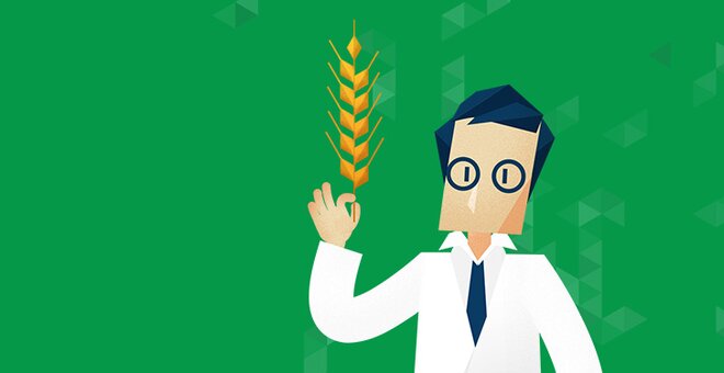 Illustration of scientist holding wheat