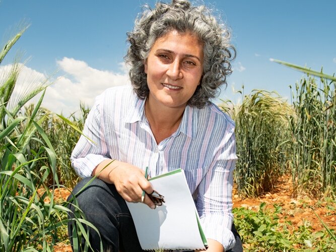 Woman kneeling by plants in a field.