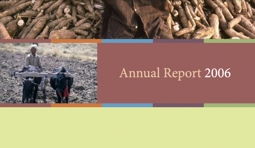 2006 annual report cover