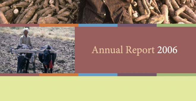 2006 annual report cover