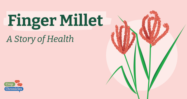 Finger Millet: A Story of Health