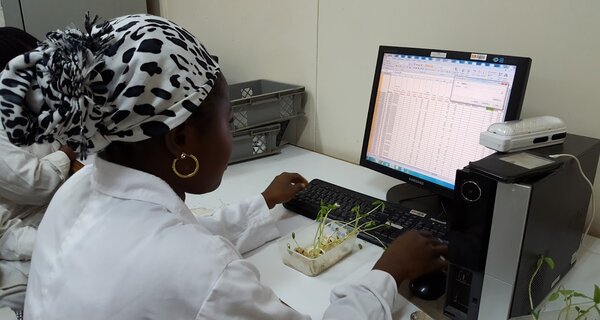 A researcher takes part in the G.O.A.L workshop. Photo: Crop Trust